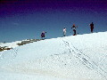 Mt.Koskiusko, NSW