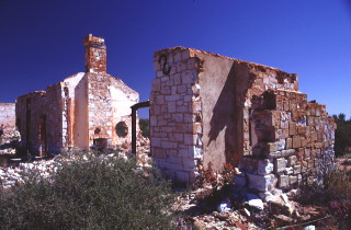 cuehosp1.jpg